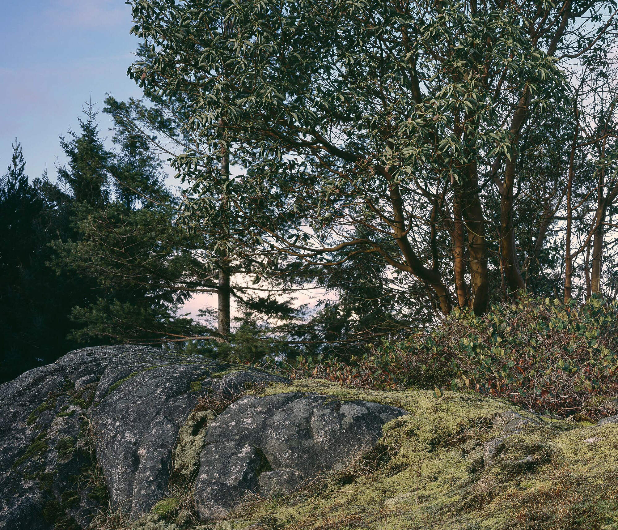 no. 5: The Bluff (Pursuant to Supreme Court of B.C., Vancouver Registry #S062778), 2007, Lightjet prints on Sintra, rotary oak plywood, and brass and steel screws, 180 x 68 x 20