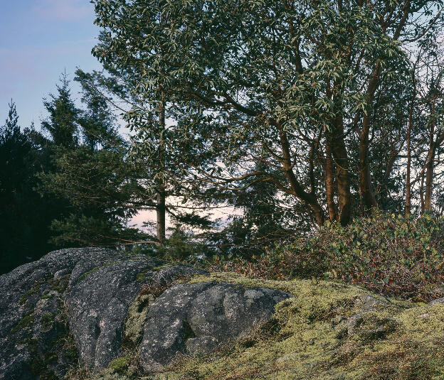 no. 5: The Bluff (Pursuant to Supreme Court of B.C., Vancouver Registry #S062778), 2007, Lightjet prints on Sintra, rotary oak plywood, and brass and steel screws, 180 x 68 x 20