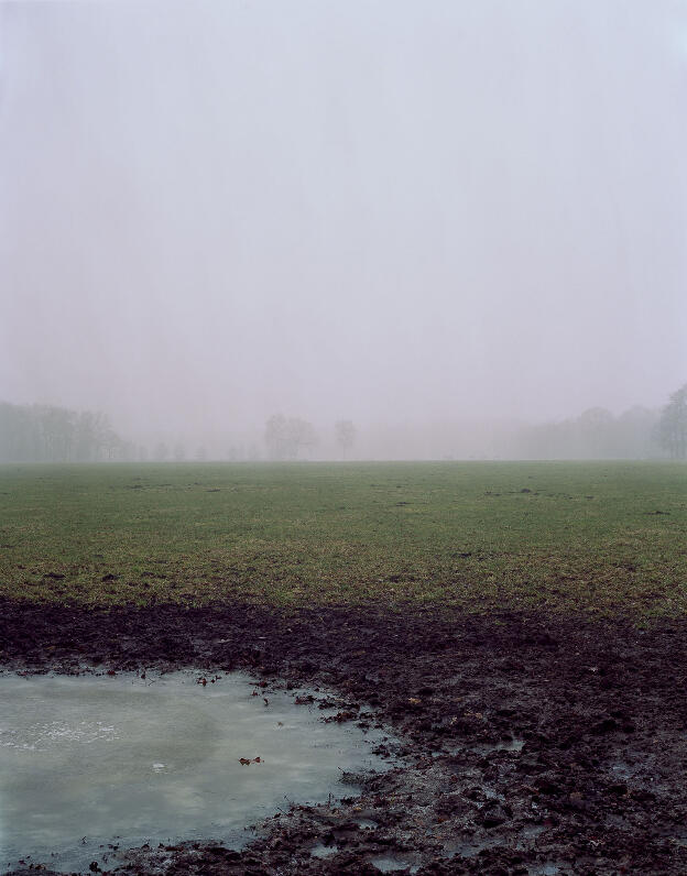 landschap