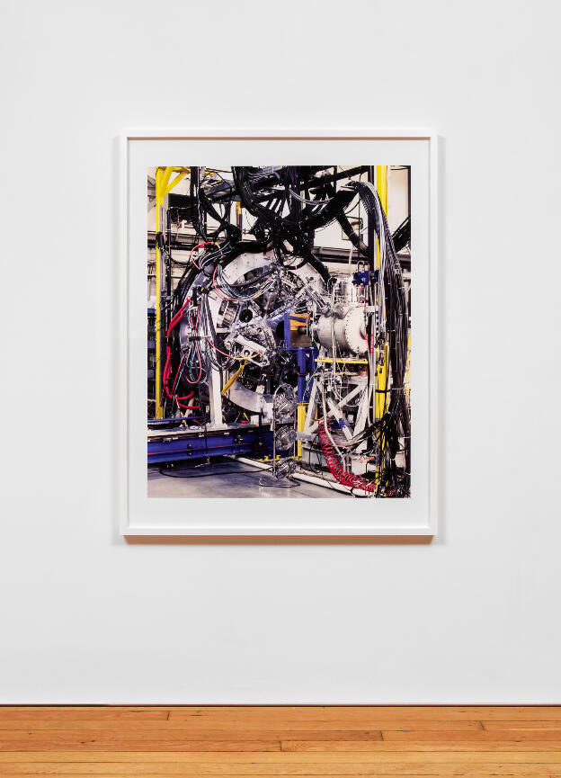 Omnis Experientiae Miraculum (Tigress), 2016, giclée on Dibond, 43 x 57
