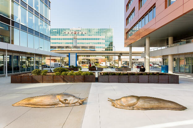Peter Gazendam: A Long Conversation, 2017; 438 Terminal Ave, Vancouver BC