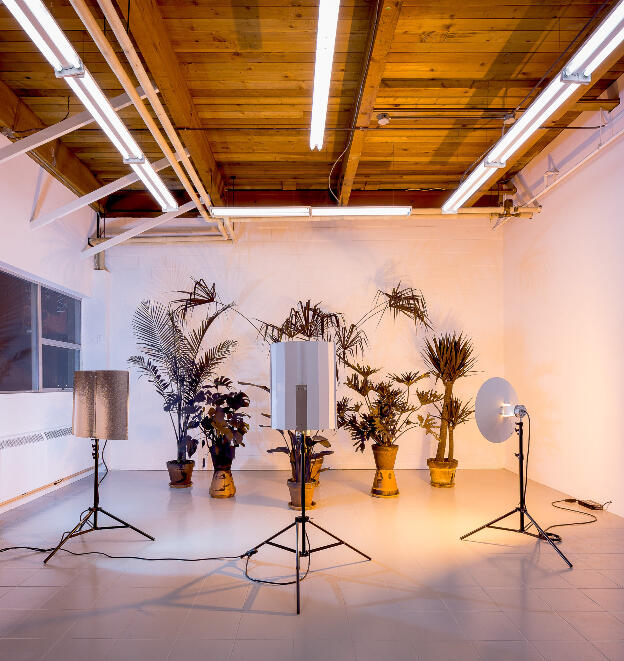 Andrew Dadson: Ultraviolet, 2015; installed Sunset Terrace, 2015