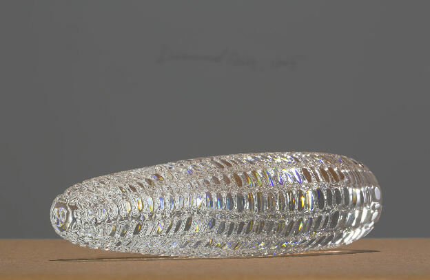Mircea Cantor: Diamond Corn, 2005