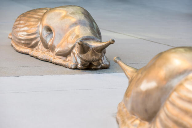 Peter Gazendam: A Long Conversation, 2017; 438 Terminal Ave, Vancouver BC