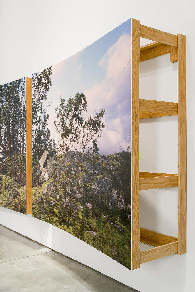no. 5: The Bluff (Pursuant to Supreme Court of B.C., Vancouver Registry #S062778) [detail], 2007, Lightjet prints on Sintra, rotary oak plywood, and brass and steel screws, 180 x 68 x 20