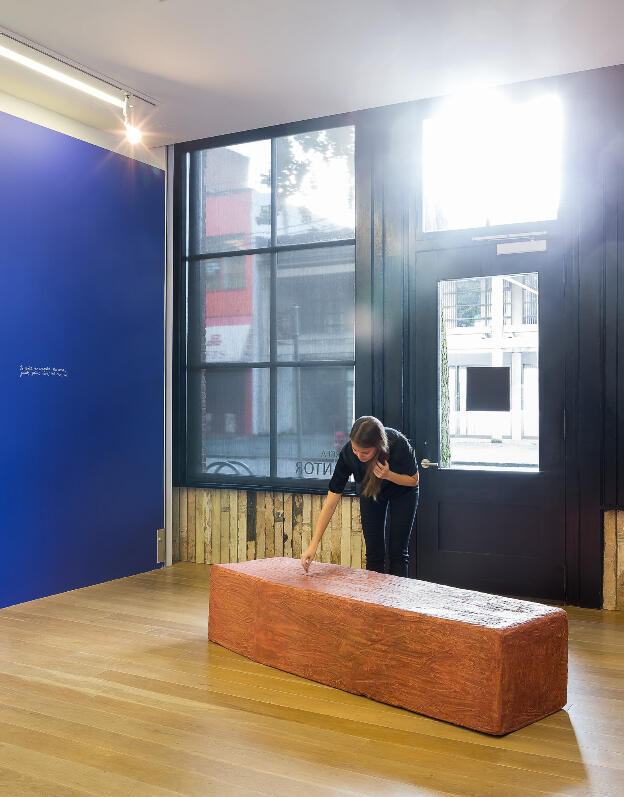 Mircea Cantor: With a Free Smile, 2007; installed Rennie Collection, 2014