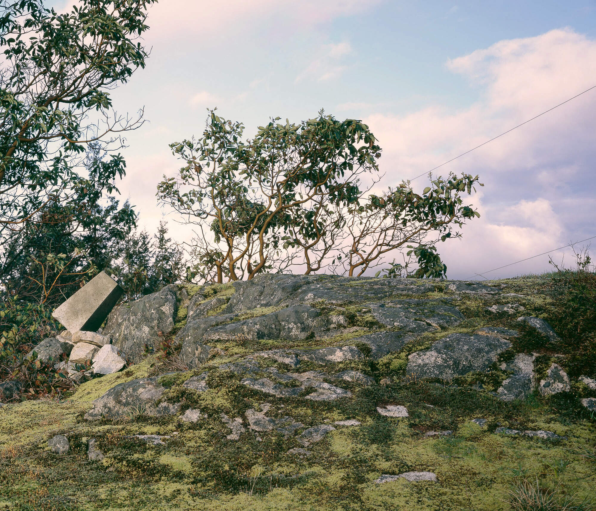 no. 5: The Bluff (Pursuant to Supreme Court of B.C., Vancouver Registry #S062778), 2007, Lightjet prints on Sintra, rotary oak plywood, and brass and steel screws, 180 x 68 x 20