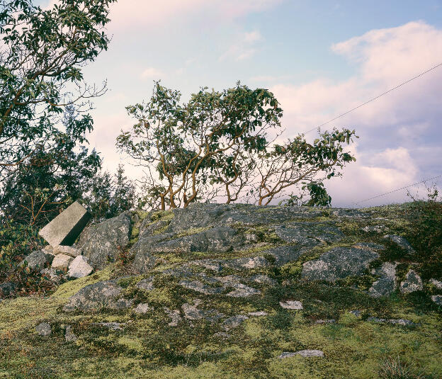 no. 5: The Bluff (Pursuant to Supreme Court of B.C., Vancouver Registry #S062778), 2007, Lightjet prints on Sintra, rotary oak plywood, and brass and steel screws, 180 x 68 x 20