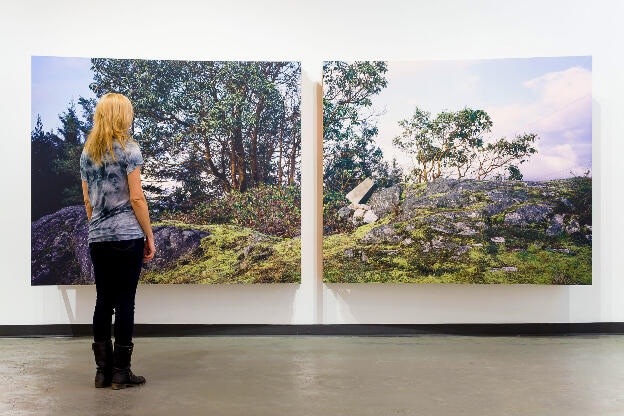 no. 5: The Bluff (Pursuant to Supreme Court of B.C., Vancouver Registry #S062778), 2007, Lightjet prints on Sintra, rotary oak plywood, and brass and steel screws, 180 x 68 x 20